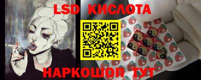 прущие грибы Лесосибирск