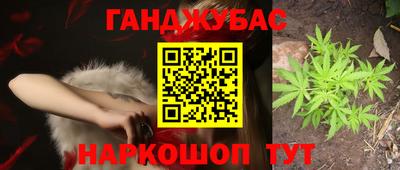 прущие грибы Лесосибирск