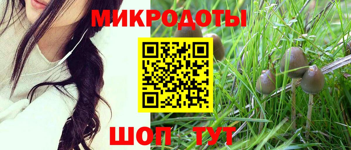 Галлюциногенные грибы Psilocybe  Вход с VPN  Всеволожск  Псилоцибиновые грибы Psilocybine cubensis 